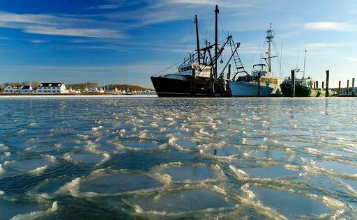 US cold snap was a freak of nature, quick analysis finds