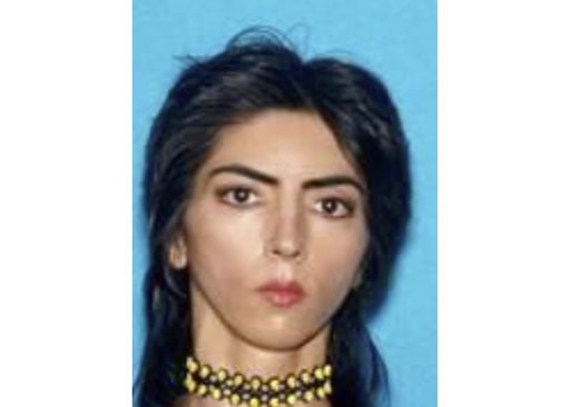 YouTube shooter was questioned before attack, found calm