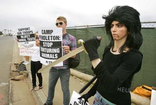 YouTube shooter's bizarre videos key to suspected motive