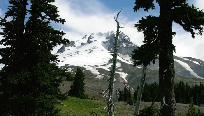 Missing Oregon trucker emerges from wilderness after 4 days