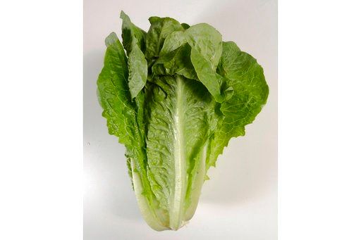 5 dead, nearly 200 sickened in romaine lettuce outbreak