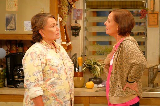 Roseanne Barr in interview: 'I made myself a hate magnet'