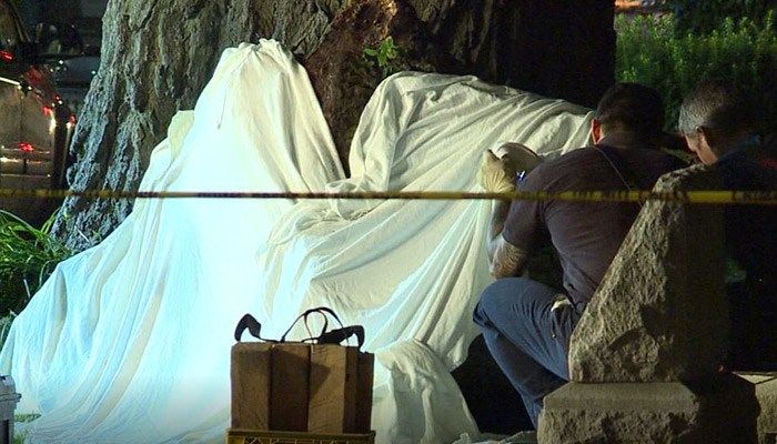 2 dead after tree branch falls on crowd at fireworks show